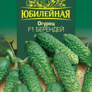 Огурец Берендей F1 Юбилейный 25 шт. (большой пакет)