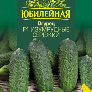 Огурец Изумрудные сережки F1 Юбилейный 25 шт. (большой пакет)