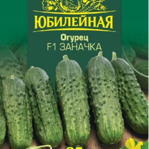 Огурец Заначка F1 Юбилейный 25 шт. (большой пакет)