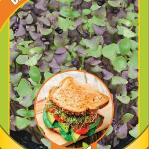 Микрозелень Базилик микс 5 г серия bio greens