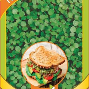 Микрозелень Горчица 5 г серия bio greens