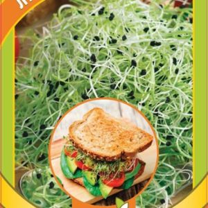 Микрозелень Лук порей 5 г серия bio greens