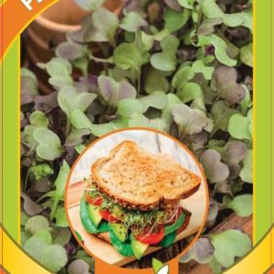 Микрозелень Редис микс 5 г серия bio greens