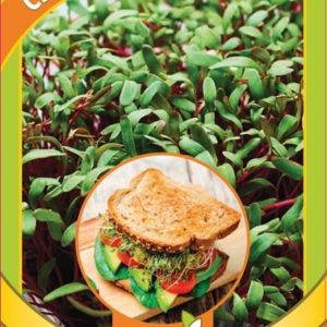 Микрозелень Свекла микс 5 г серия bio greens