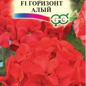 Пеларгония Горизонт алый F1 зональная *4 шт. Н18