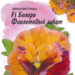 Виола Болеро фиолетовый закат F1, Виттрока (Анютины глазки)* 10 шт.