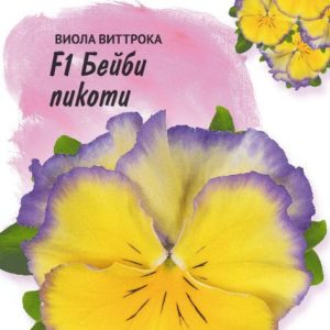 Виола Бейби пикоти F1, Виттрока (Анютины глазки)* 10 шт. серия Фарао Н19