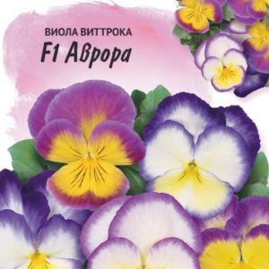 Виола Аврора F1, Виттрока (Анютины глазки)* 10 шт. серия Фарао Н19