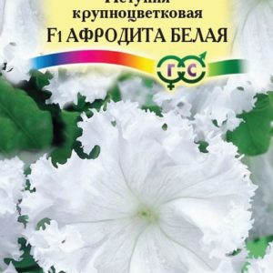 Петуния Афродита белая F1 (Фриллитуния) бахромч. 10 шт. пробирка