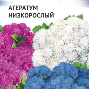 Агератум смесь серия Триколор низкорослый 0,15 г