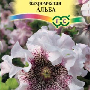 Петуния Альба бахромч. 10 шт. пробирка Н12