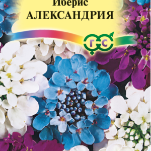 Иберис Александрия 0,2 г Н9 серия Альпийская горка