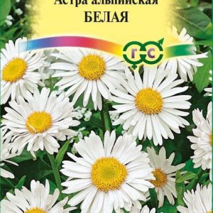 Астра альпийская белая* 0,1 г сер. Альпийская гор