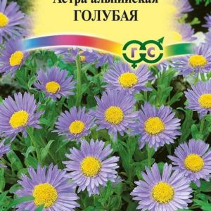 Астра альпийская голубая* 0,1 г сер. Альпийская горка