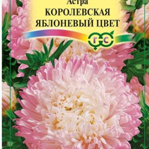 Астра Королевская яблоневый цвет 0,3 г Н12