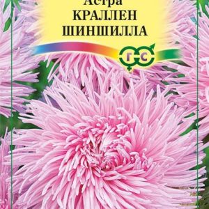 Астра Краллен Шиншилла 0,3 г Н9, коготковая нежно-роз.