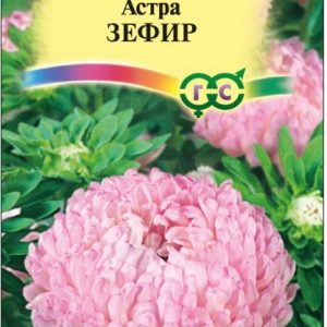 Астра Зефир 0,3 г,пионовидная нежно-розовая