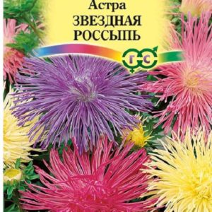 Астра Звездная россыпь 0,3 г, игольчатая карликовая