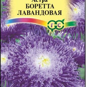 Астра Боретта лавандовая 0,3 г, принцесса Н9