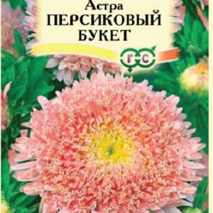 Астра Букет персиковый 0,3 г Н12