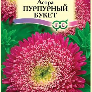 Астра Букет пурпурный 0,3 г Н12