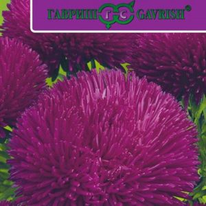 Астра Джувел Аметист* 0,1 г серия Эксклюзив Н11, игольчато-коготковая