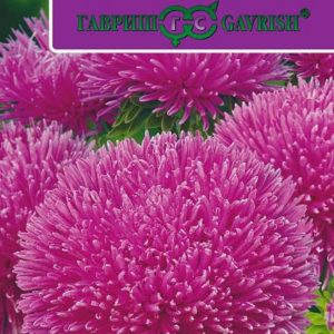 Астра Джувел Пурпурит* 0,1 г серия Эксклюзив Н11, игольчато-коготковая