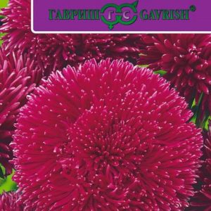 Астра Джувел Родолит* 0,1 г серия Эксклюзив Н11, игольчато-коготковая