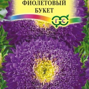 Астра Букет фиолетовый 0,3 г Н12