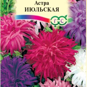 Астра Июльская, смесь 0,3 г