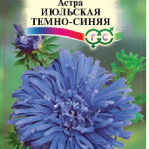 Астра Июльская темно-синяя 0,3 г