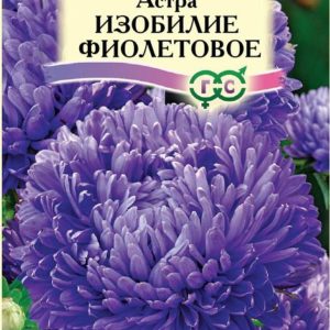 Астра Изобилие фиолетовое 0,3 г, пионовидная
