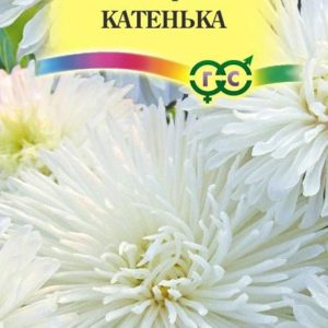 Астра Катенька 0,3 г, воронежская белая Н10
