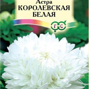 Астра Королевская белая 0,3 г Н12