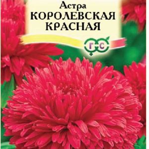 Астра Королевская красная 0,3 г Н12