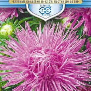 Астра Кристалл розовый 0,3 г Н10, игольчатая , серия Русский богатырь