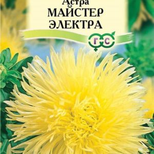 Астра Майстер Электра 0,3 г, игольчатая желтая