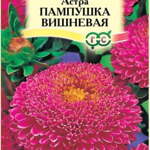 Астра Пампушка вишневая 0,3 г Н12