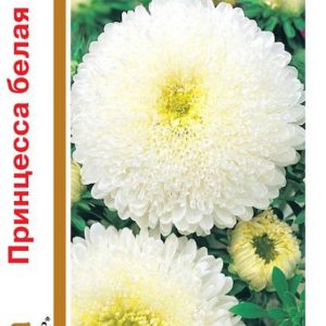 Астра Принцесса белая 0,5 г, серия 1+1 Н14