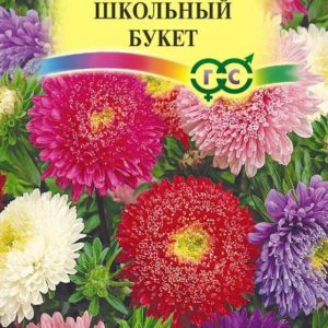 Астра Букет школьный, смесь 0,3 г Н12