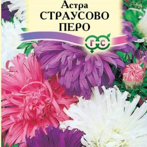 Астра Страусово перо смесь 0,3 г