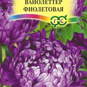 Астра Вайолеттер фиолетовая 0,3 г, пионовидная