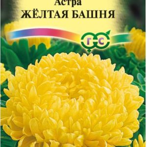 Астра Желтая башня 0,3 г, пионовидная