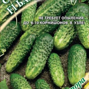 Огурец Барабулька F1 10 шт.корнишон автор.