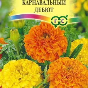 Бархатцы пр. Карнавальный дебют, смесь (Тагетес) 0,3 г Цветущий сад-без затрат Н10