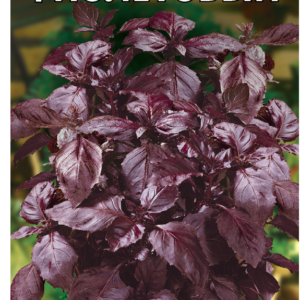 Базилик Фиолетовый 0,3 г серия Огород без хлопот