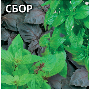 Базилик Ароматный сбор 0,3 г Н11