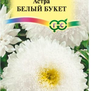 Астра Букет белый 0,3 г Н12