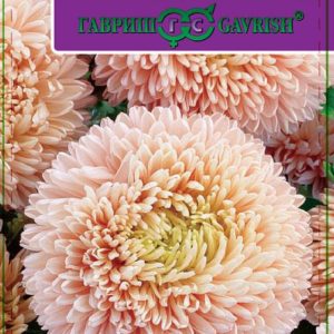 Астра Леди Корал бежевая * 0,1 г серия Эксклюзив Н11, розовидная