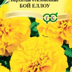 Бархатцы откл. Бой Еллоу 0,3 г* сер. Элитная клумба Н15
